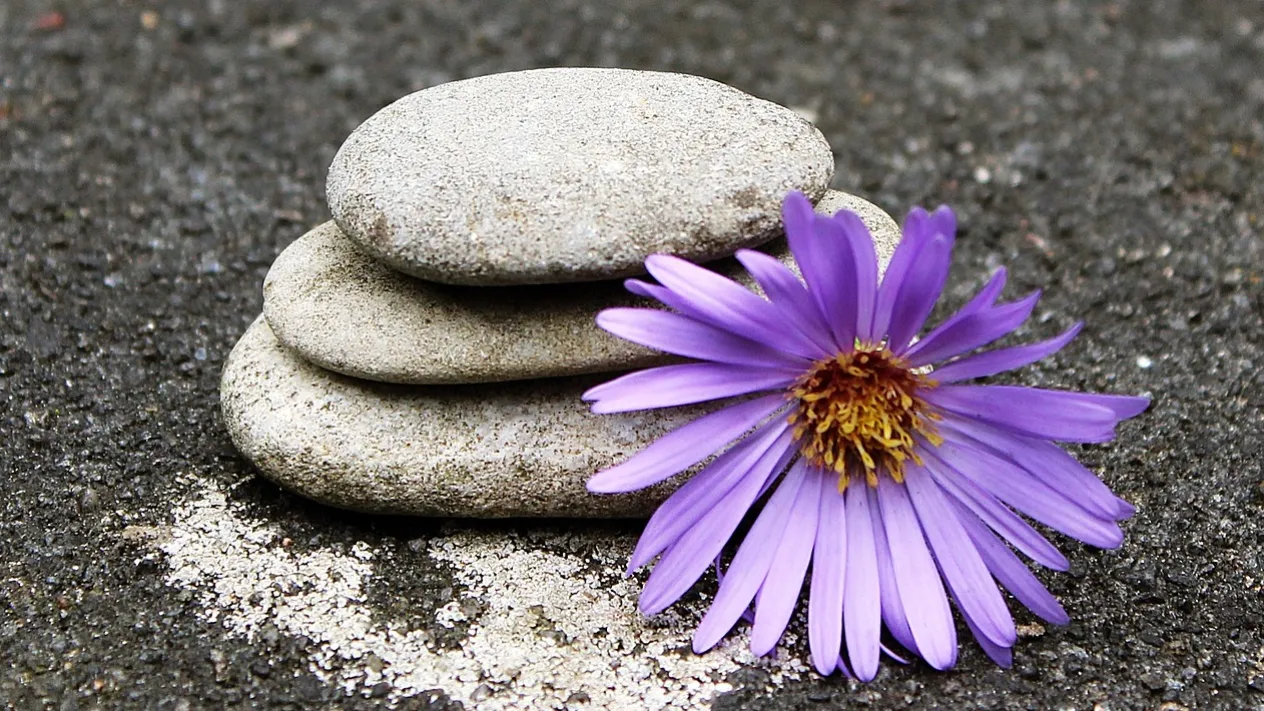 Stein mit Wasserlilie (Foto: Pixabay) Stein mit Wasserlilie (Foto: Pixabay)